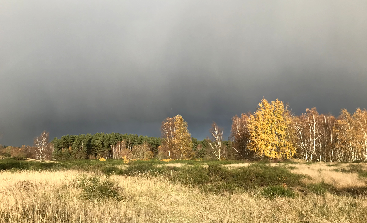 Försterhofer Heide