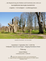 Baumpflege im Park Pansevitz