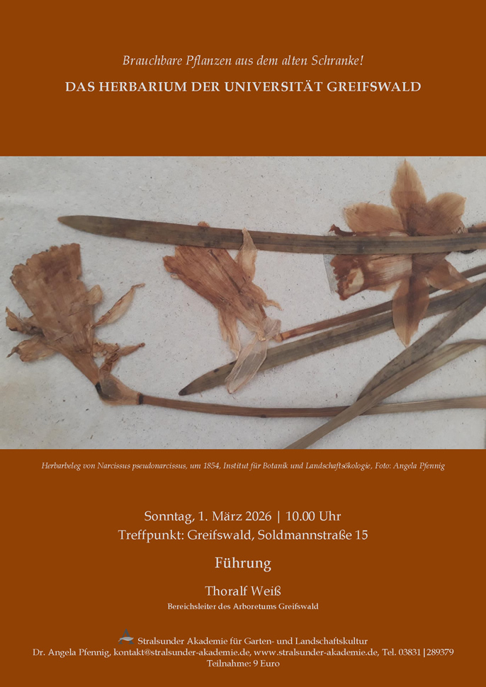 Das Herbarium der Universität Greifswald