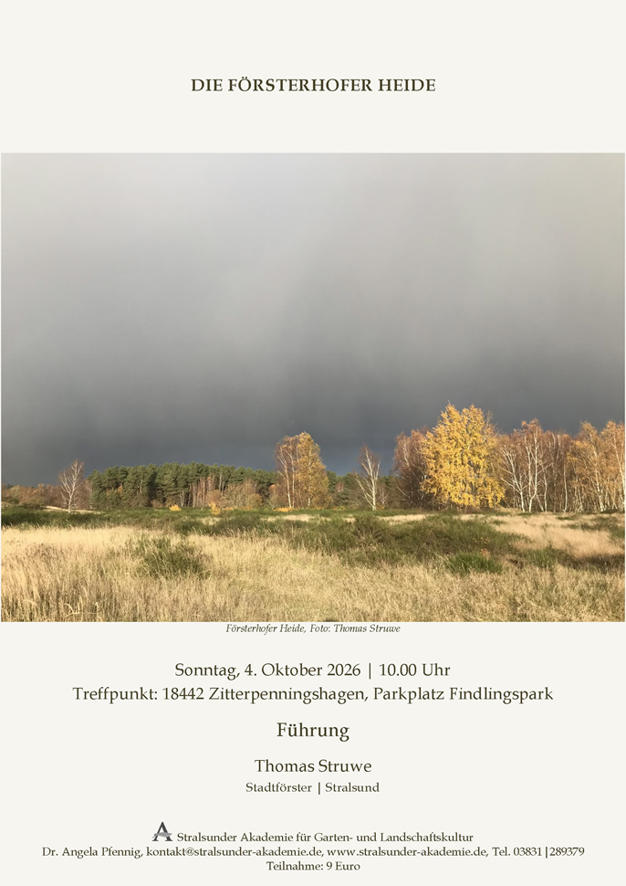 Die Försterhofer Heide