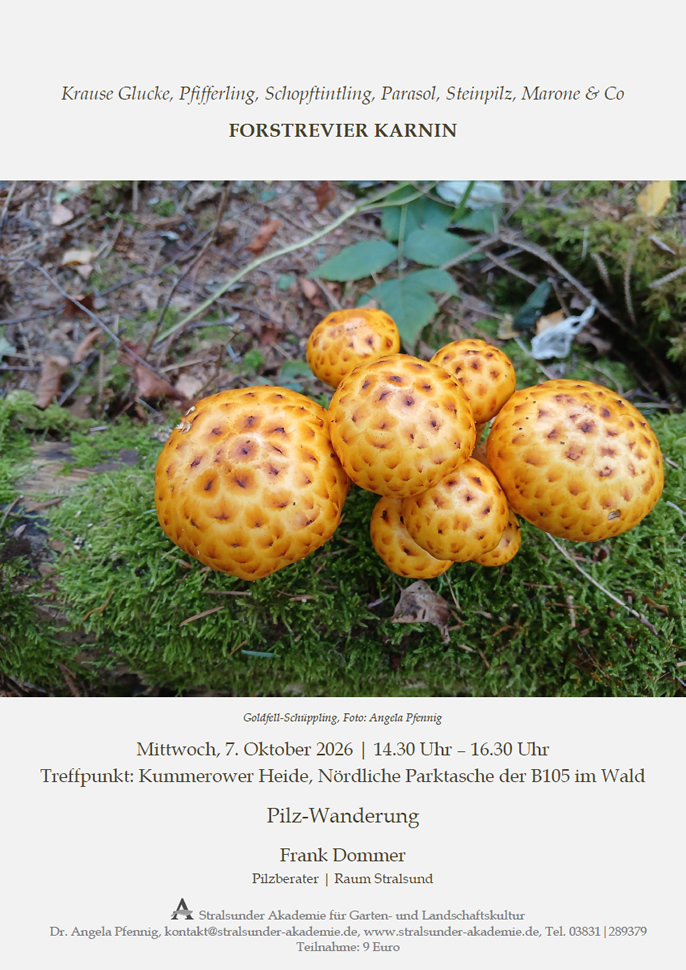 Mittwoch, 7. Oktober 2026