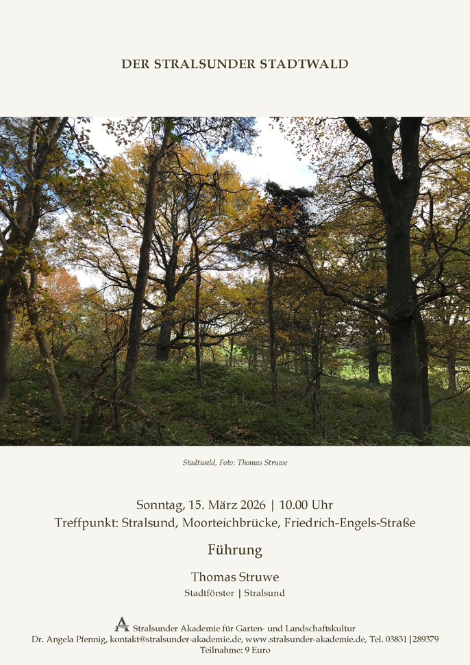 Der Stralsunder Stadtwald