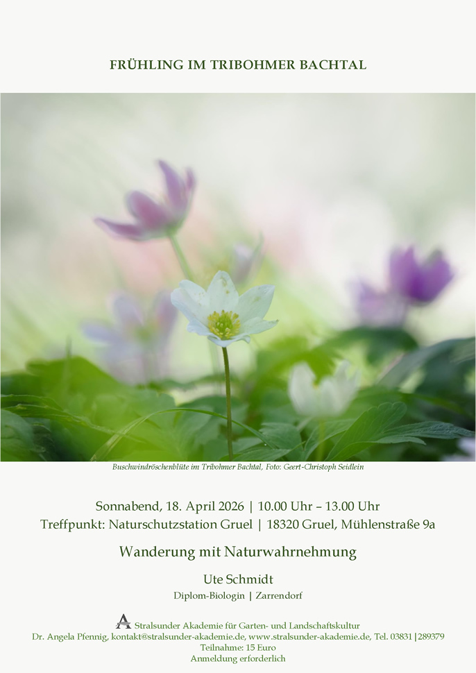 Die Stimmen des Waldes