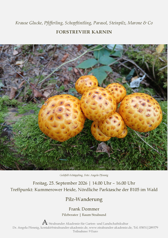 Pilz-Wanderung Forstrevier Karnin