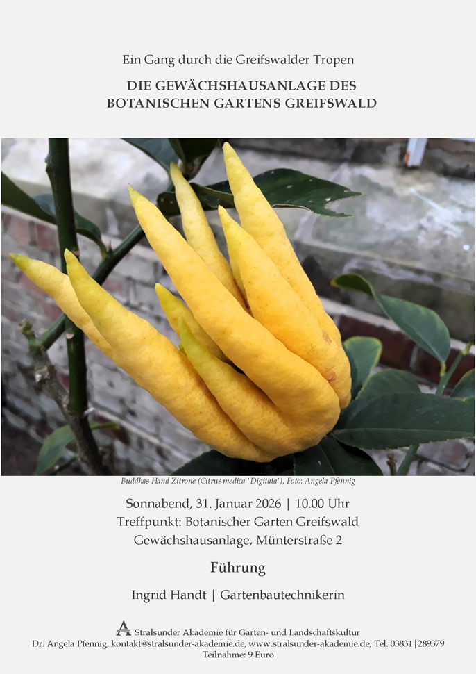 Die Gewächshausanlage des Botanischen Gartens Greifswald