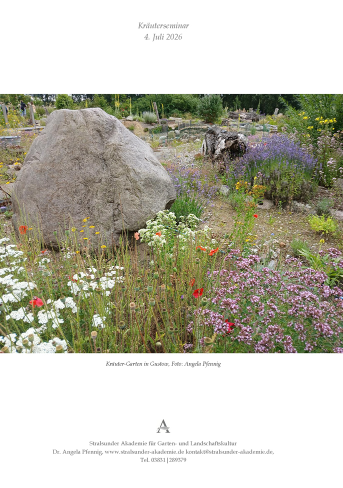 Kräuterseminar