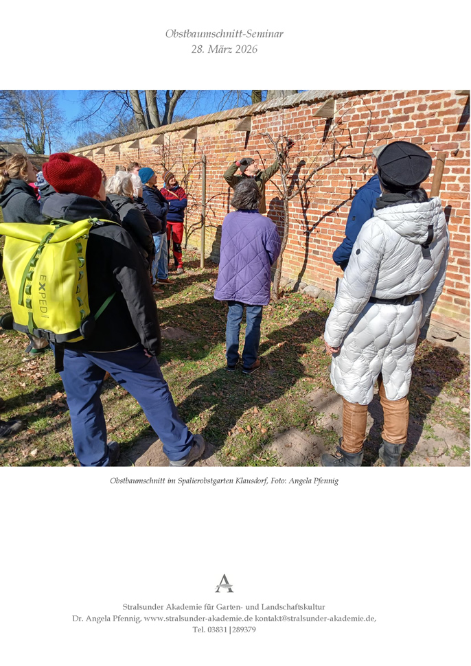 Obstbaumschnitt-Seminar