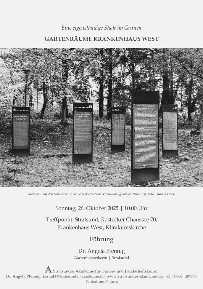 Sonntag, 26. Oktober 2025