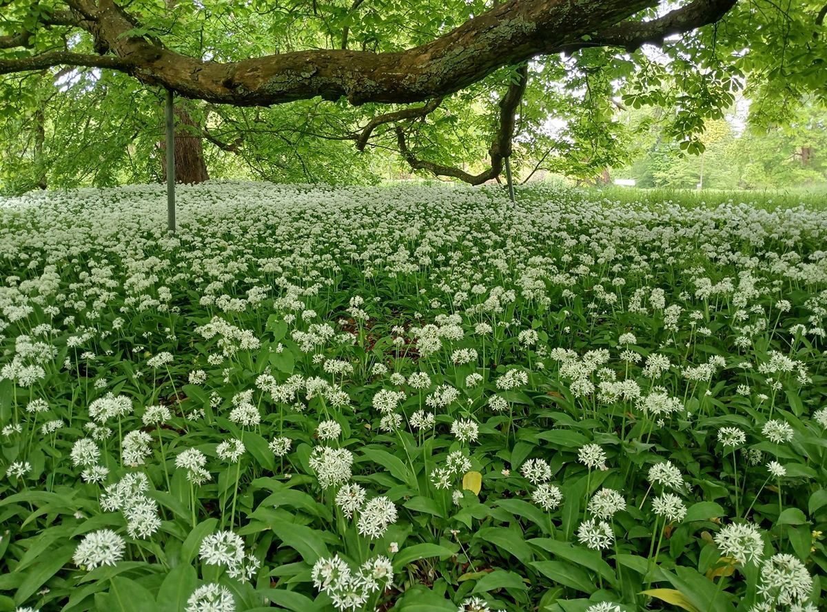 Sonnabend, 25. April 2026