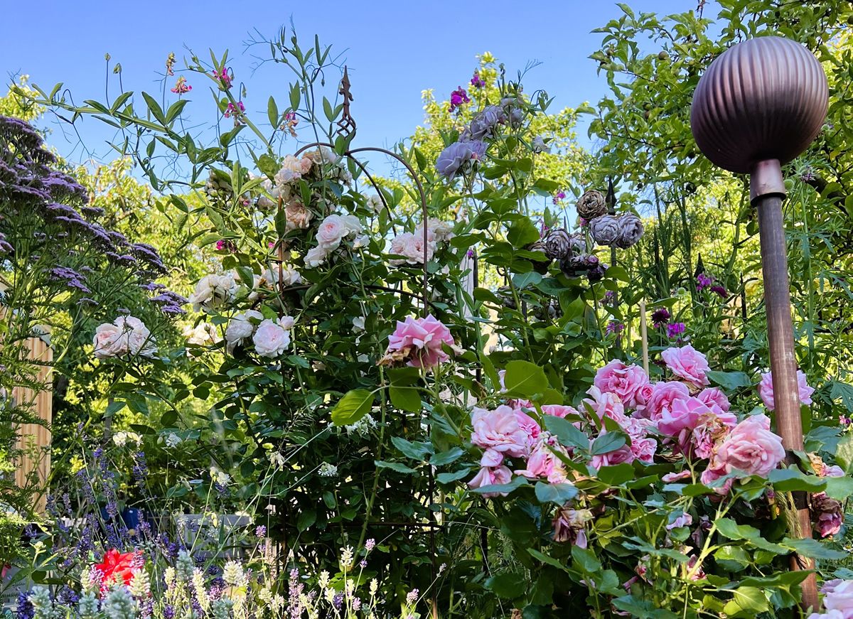 Sonntag, 7. Juni 2026