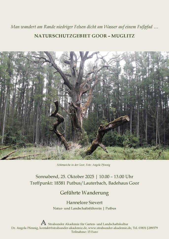 Sonnabend, 25. Oktober 2025