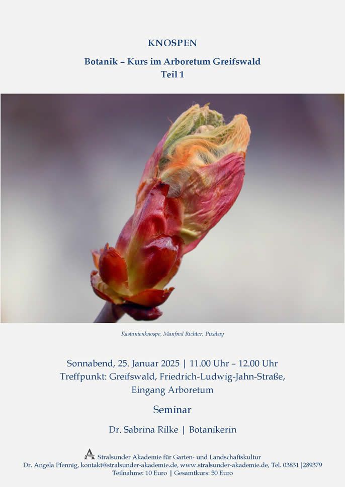 Sonnabend, 25. Januar 2025