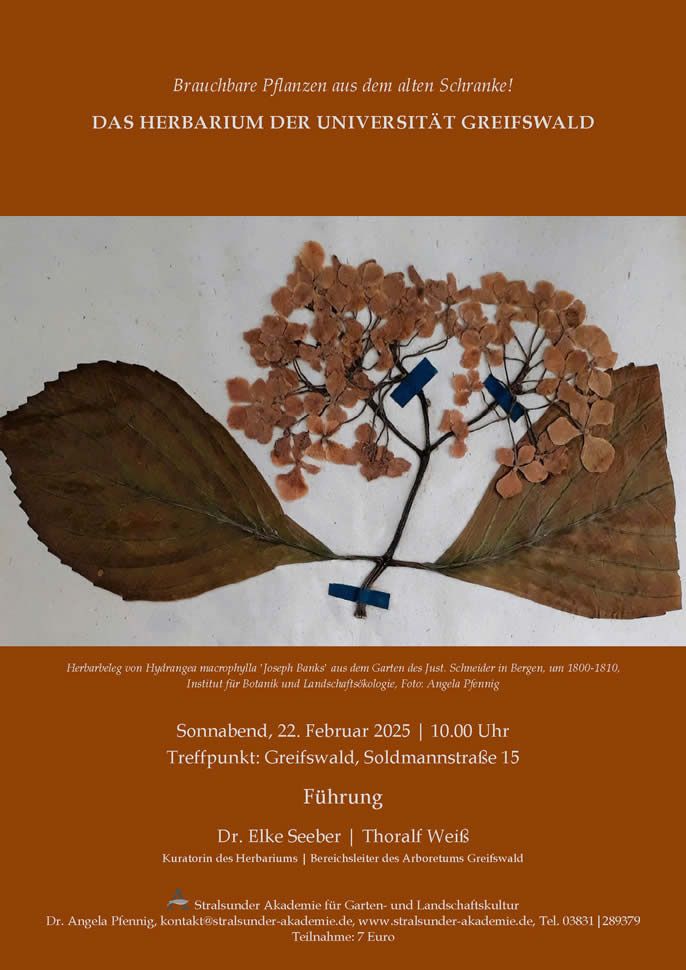 Sonnabend, 22. Februar 2025