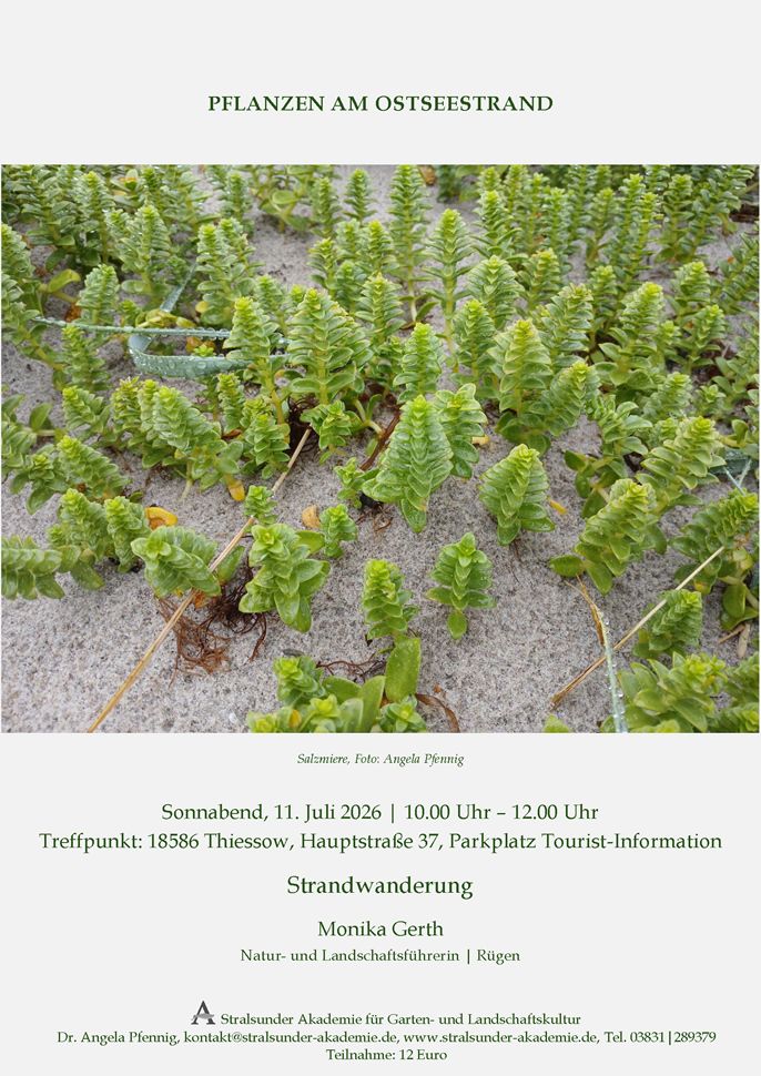 Sonnabend, 11. Juli 2026