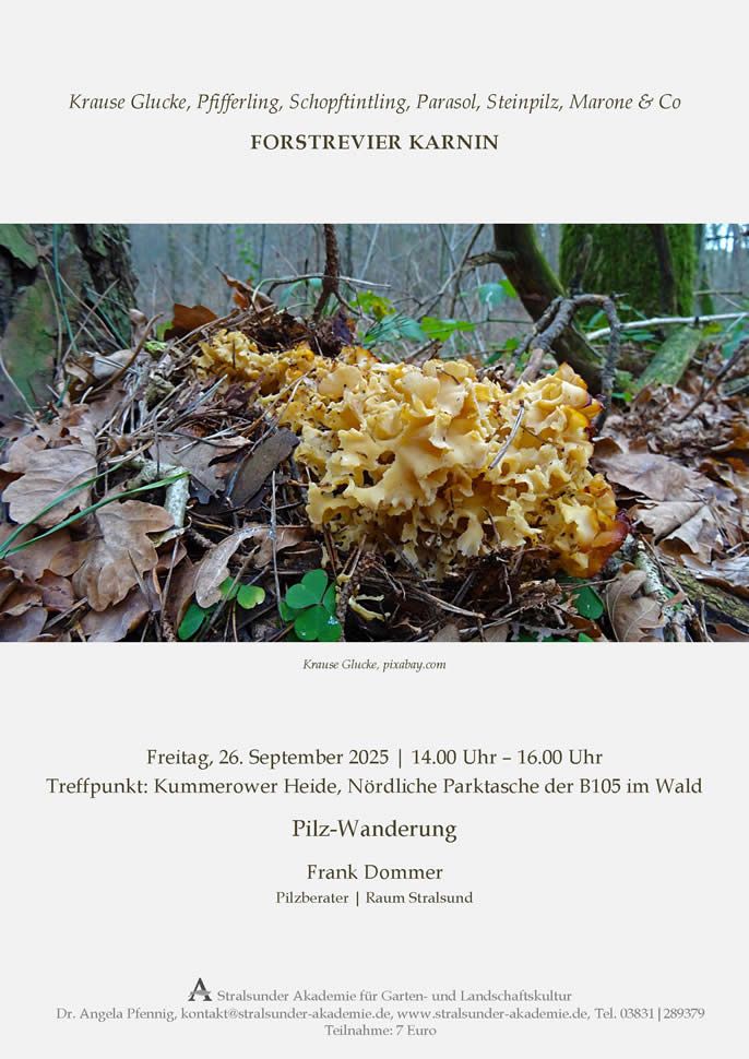 Freitag, 26. September 2025