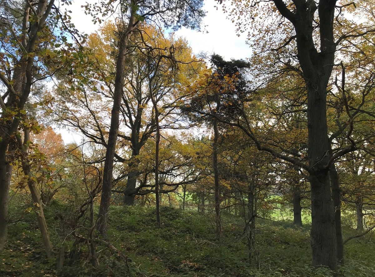 Sonntag, 15. März 2026