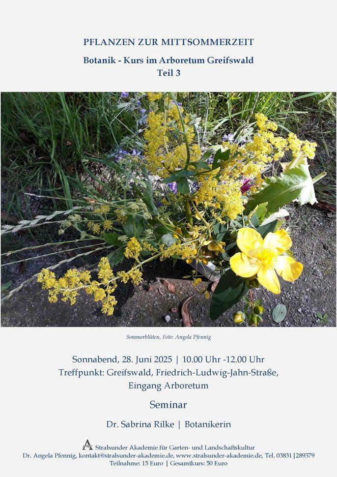 Sonnabend, 28. Juni 2025