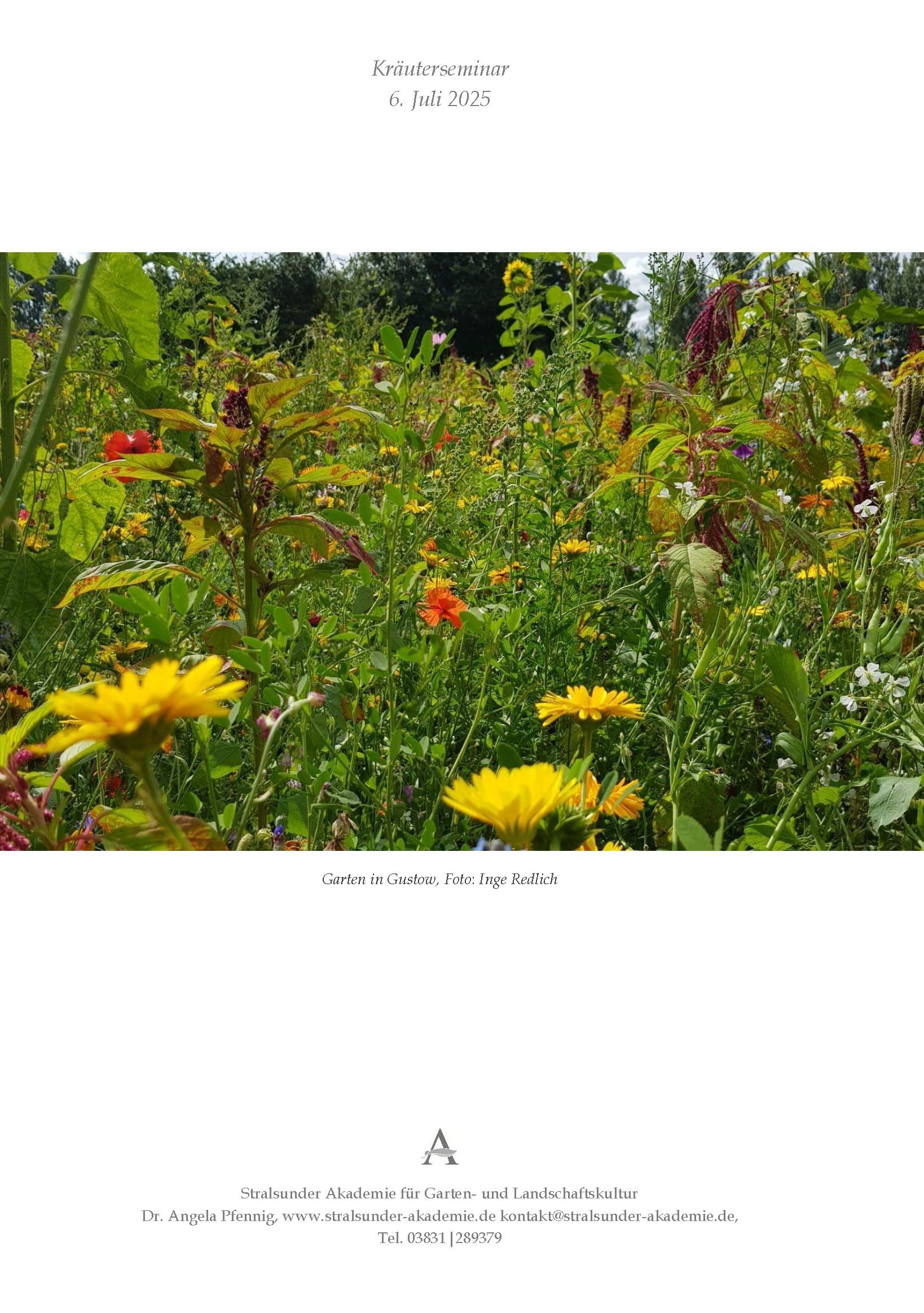 Sonntag, 6. Juli 2025