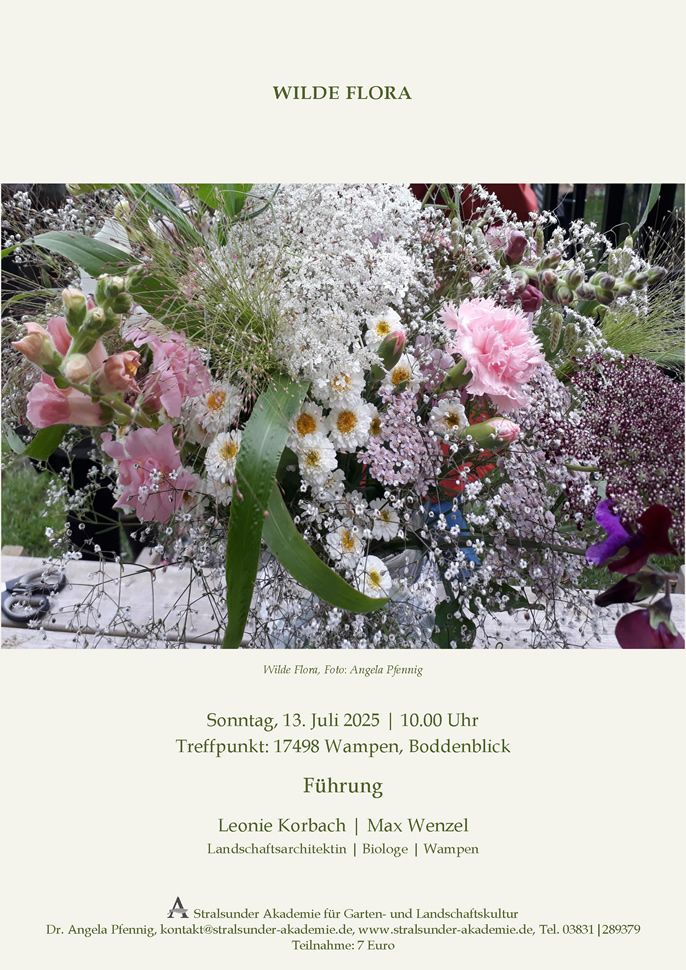 Sonntag, 13. Juli 2025