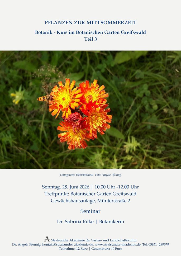 Sonntag, 28. Juni 2026