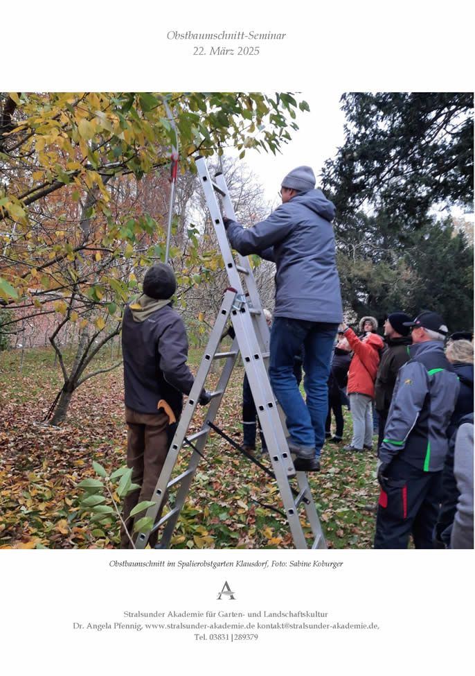 Sonnabend, 22. März 2025