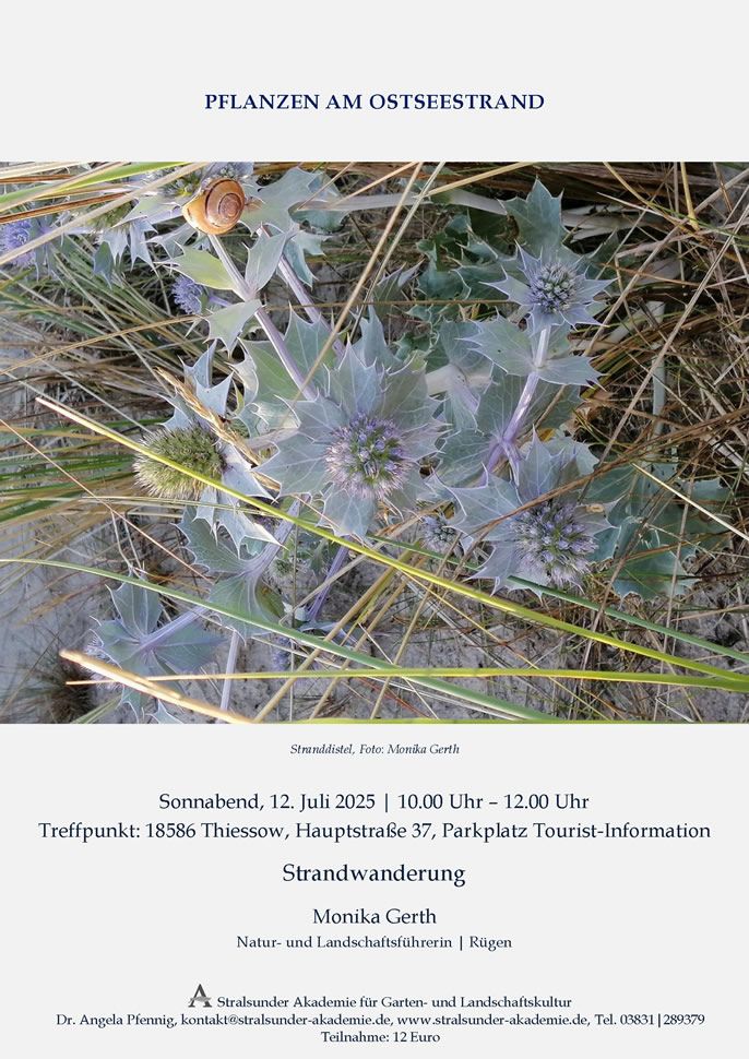 Sonnabend, 12. Juli 2025