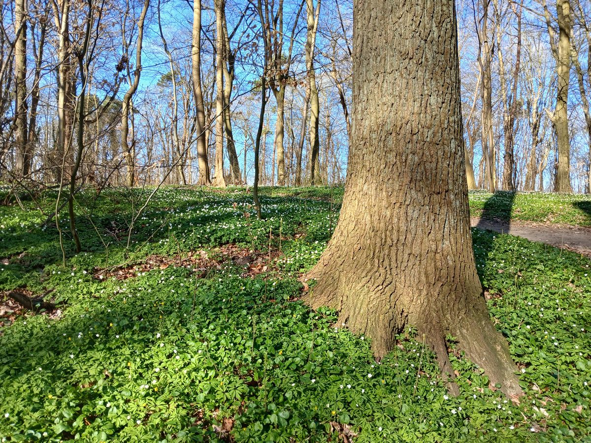 Sonnabend, 14. März 2026