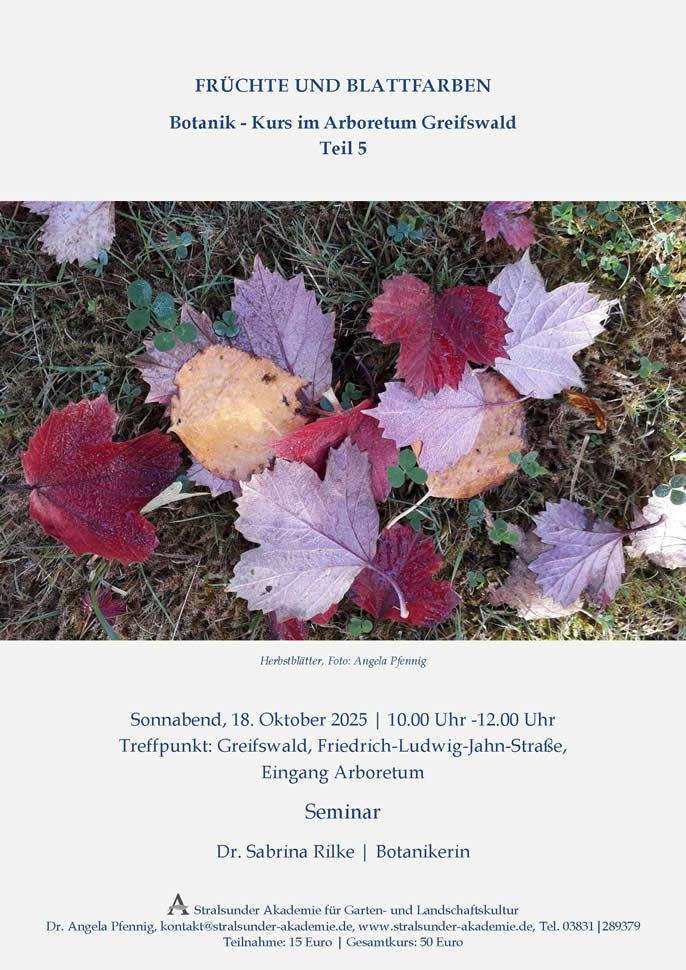 Sonnabend, 18. Oktober 2025