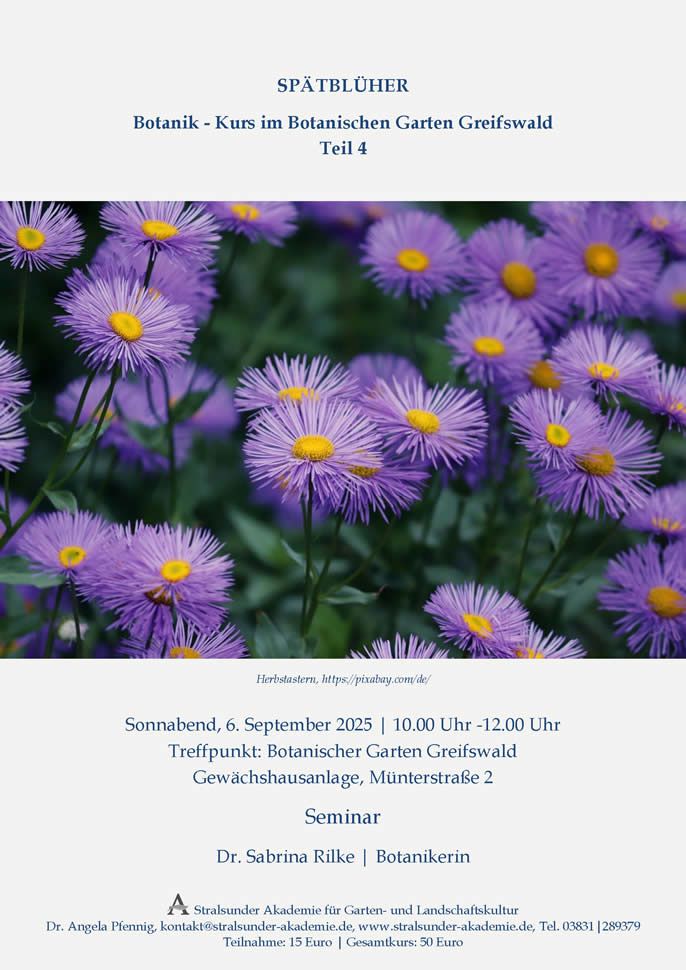 Sonnabend, 6. September 2025