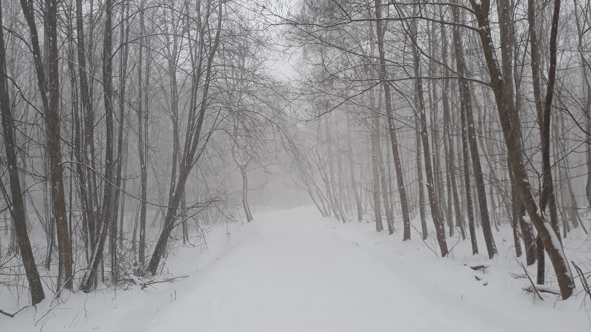 Sonnabend, 14. Februar 2026