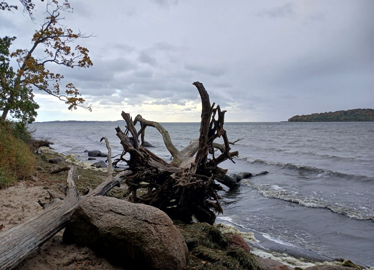 Sonnabend, 11. April 2026