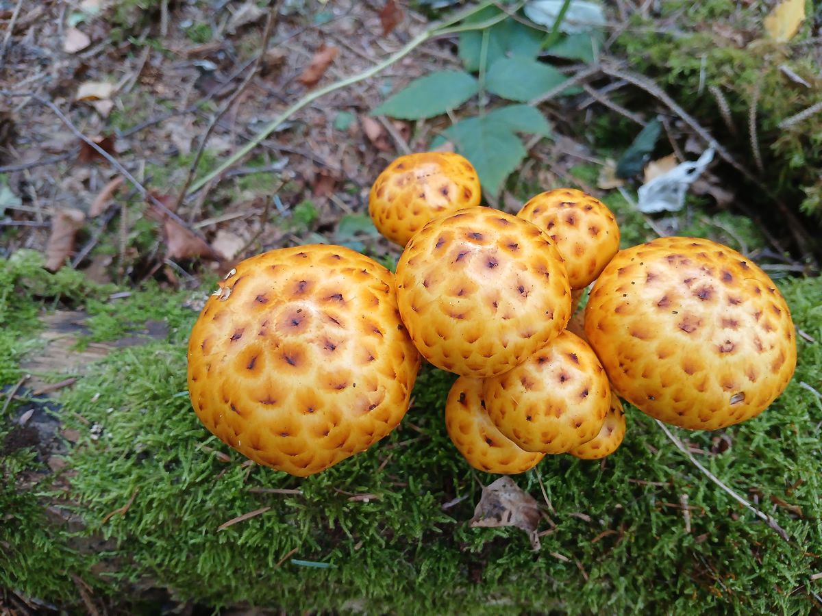 Freitag, 25. September 2026