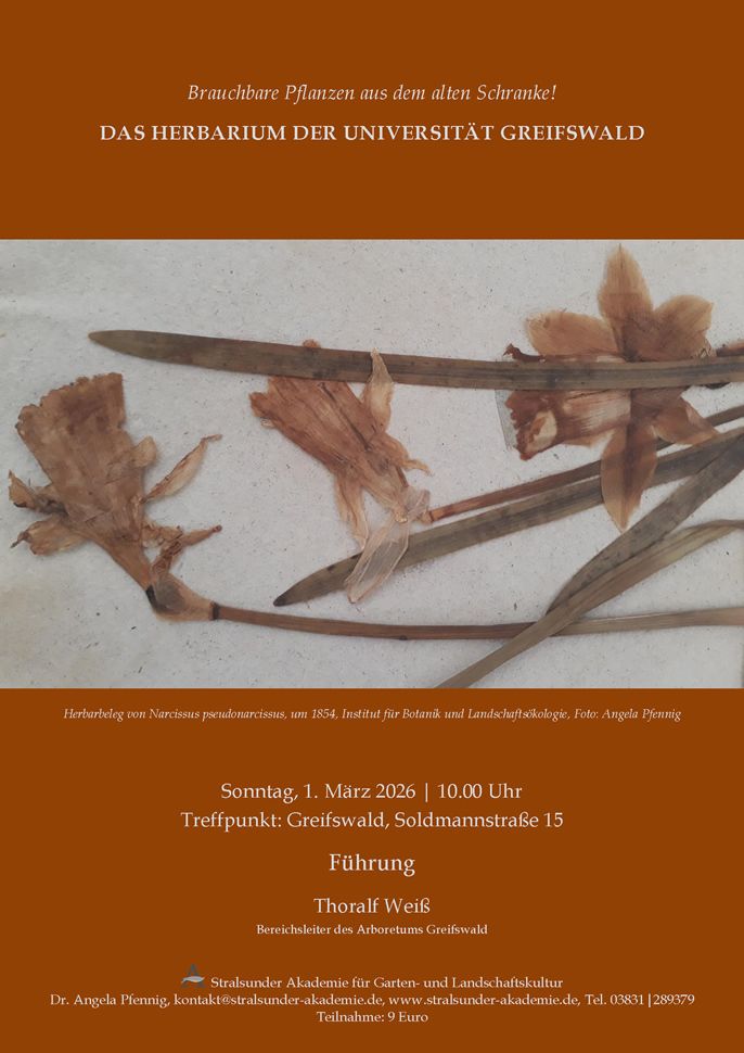 Sonntag, 1. März 2026